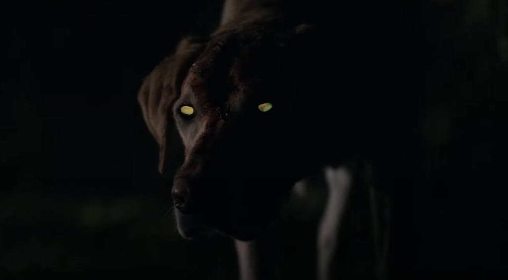 Blood - Pippin - Red River Horror